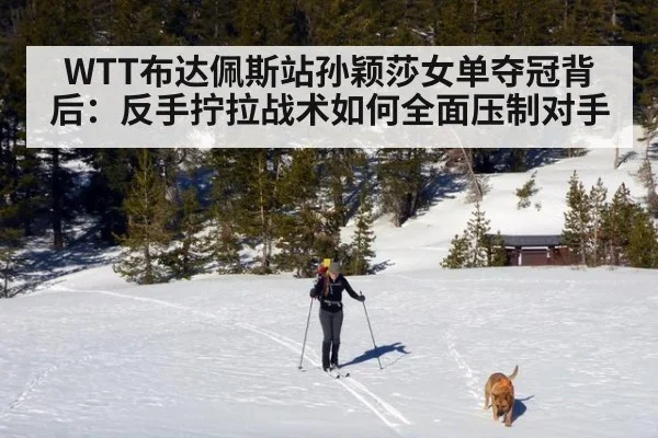 WTT布达佩斯站孙颖莎女单夺冠背后:反手拧拉战术如何全面压制对手